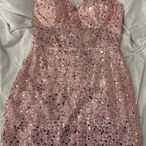 Windsor Blush Sequin Embellished Dress